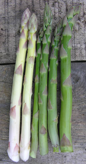 Grønne og hvide asparges