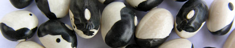 Bnne Yin Yang