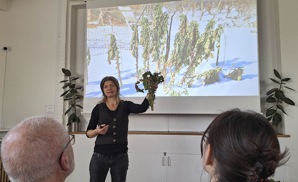 Karoline Aaen, Permakulturhaven Myrrhis