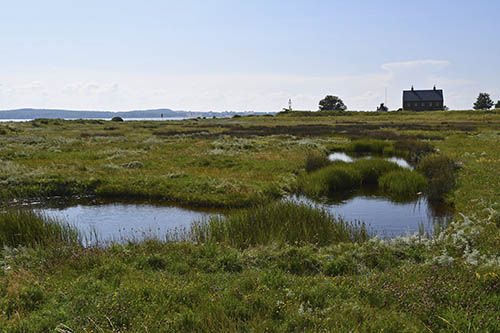 Slipshavn