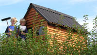 Huset i tret