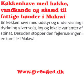 Giv en ged - kkkenhave til Malawi