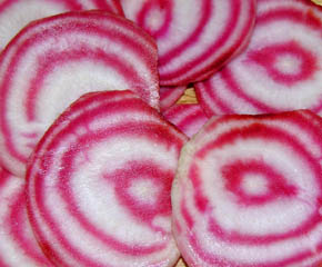 Rdbede Chioggio