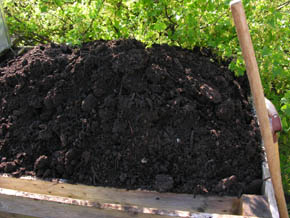 Kompostbeholder med omsat kompost.