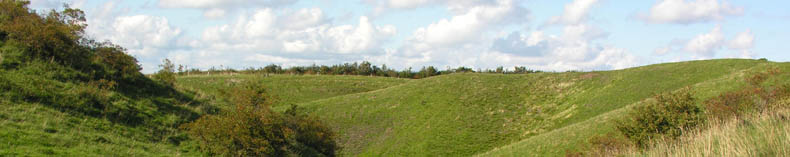 Nordby bakker, Sams