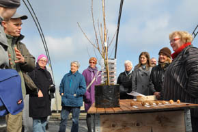 Frøsamlere på planteskole