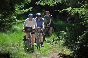 Cyklister på tur i Klosterhede Plantage