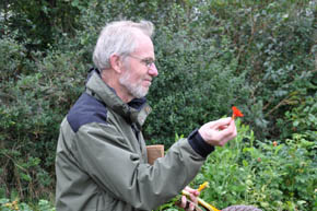 Spiselige blomster