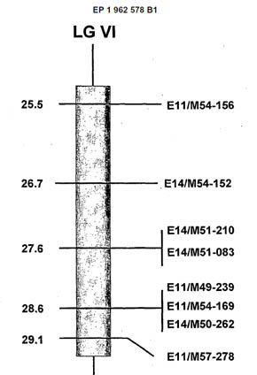 DNA markører, European Patent EP1962578