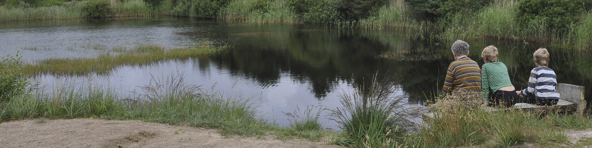 Nørre Sø, Blokhus Klitplantage