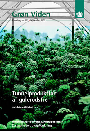 Tunnelproduktion af gulerodsfrø, Grøn Viden Markbrug, nr. 262