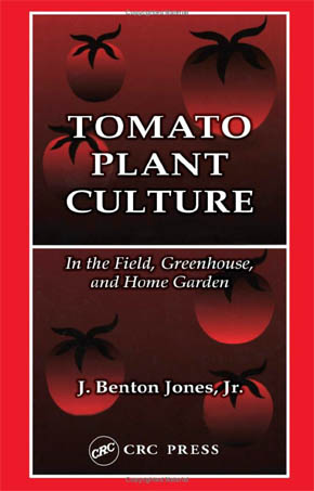 Tomato Plant Culture