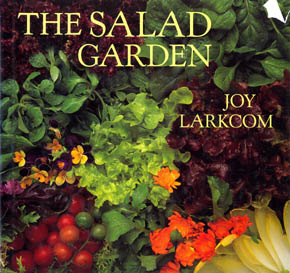 The Salad Garden
