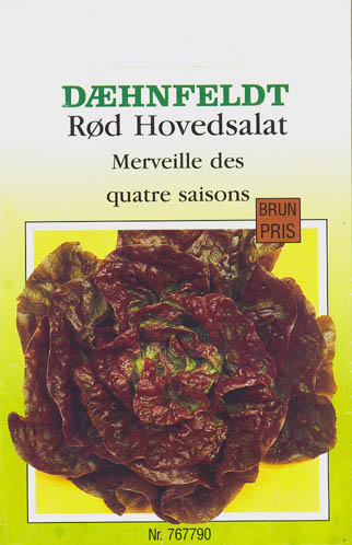 Havesalat, pluksalat, Merveille des quatre saisons, Lactuca sativa </i>L. var. <i>crispa