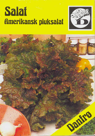 Havesalat, pluksalat, Amerikansk pluksalat, Lactuca sativa </i>L. var. <i>crispa
