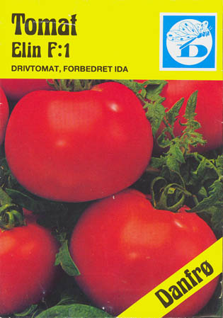 Tomat, Elin F1, Solanum lycopersicum</i> L<i>