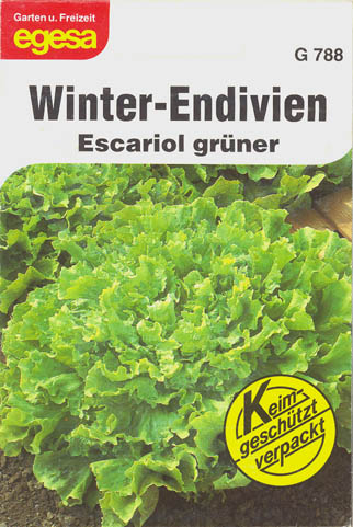 Endivie, Escariol grüner, Cichorium endivia </i>L.<i>