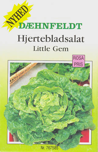 Havesalat, hovedsalat, Little Gem, Lactuca sativa </i>L. var. <i>capitata