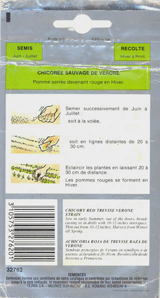 Cikorie, Sauvage de Vrone, Cichorium intybus </i>L.<i>