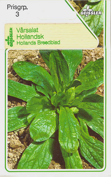 Vrsalat, Hollndischer Breitblttiger, Valerianella