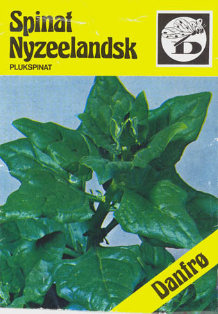 New Zealand spinat, Nyzeelandsk, Tetragonia tetragonioides