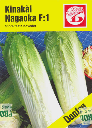 Kinakl, Nagaoka F1, Brassica rapa </i>L. subsp.<i> perviridis