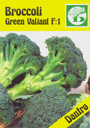 Broccoli, Green Valiant F1, Brassica oleracea </i>L. var. <i>italica