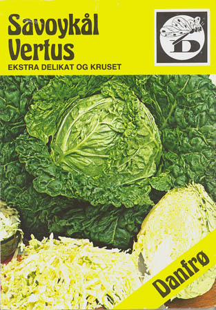 Savoykl, Vertus, Brassica oleracea </i>L. var. <i>sabauda