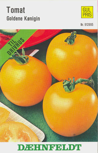 Tomat, Goldene Knigin, Solanum lycopersicum</i> L<i>
