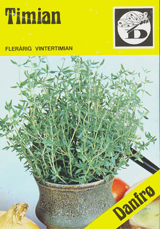 Havetimian, Timian, Thymus vulgaris </i>L.<i>