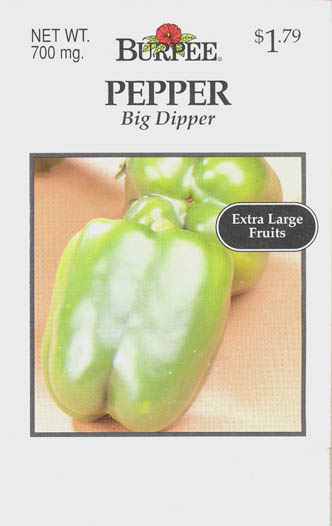 Peberfrugt (Spansk peber), Big Dipper, Capsicum annuum </i>L.<i>
