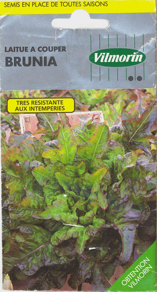 Havesalat, pluksalat, Brunia, Lactuca sativa </i>L. var. <i>crispa