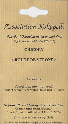 Cikorie, Rouge de Verone, Cichorium intybus </i>L.<i>