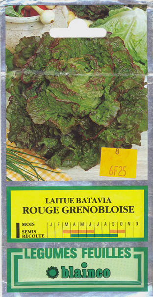 Havesalat, hovedsalat, Rouge Grenobloise, Lactuca sativa </i>L. var. <i>capitata
