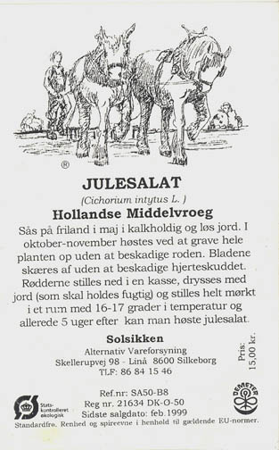 Cikorie, Hollandse Middelvroeg, Cichorium intybus </i>L.<i>