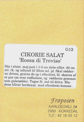Cikorie, Rossa di Treviso, Cichorium intybus </i>L.<i>