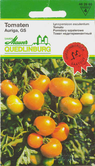 Tomat, Auriga GS, Solanum lycopersicum</i> L<i>