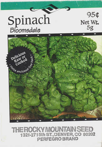 Spinat, Bloomsdale Longstanding, Spinacia oleracea </i>L.<i>