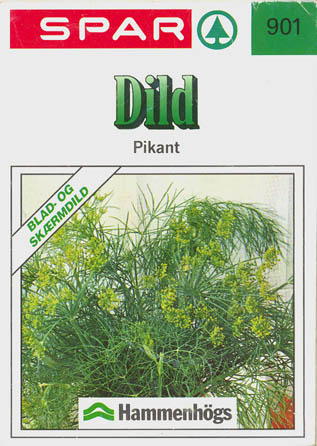 Dild, Pikant, Anethum graveolens </i>L.<i>