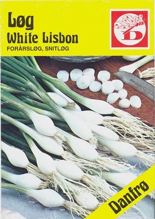 Pibelg, White Lisbon, Allium fistulosum </i>L<i>
