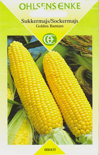 Majs, Golden Bantam, Zea Mays </i>L.<i>