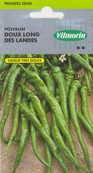 Peberfrugt (Spansk peber), Doux Long des Landes, Capsicum annuum </i>L.<i>