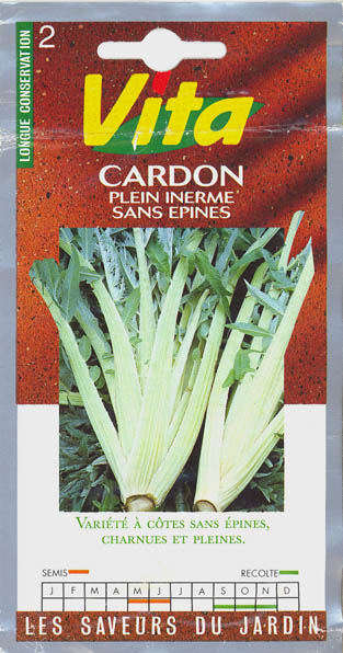Kardon, Plein Inerme sans Epines, Cynara cardunculus </i>L.<i>