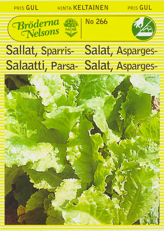 Havesalat, aspargessalat, Celtuce, Lactuca sativa </i>L. var. <i>augustana
