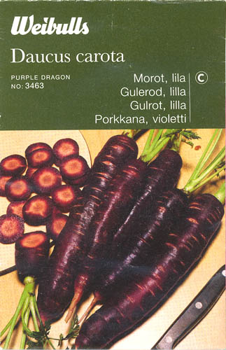 Gulerod, Purple Dragon, Daucus carota </i>L. subsp.<i> sativus