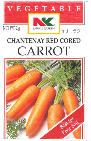 Gulerod, Chantenay Red Cored, Daucus carota </i>L. subsp.<i> sativus
