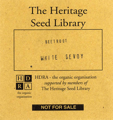 Rdbede, White Devoy, Beta vulgaris </i>L. var.<i> vulgaris