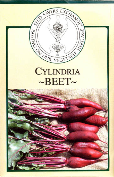 Rdbede, Cylindra, Beta vulgaris </i>L. var.<i> vulgaris