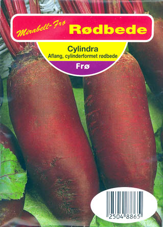 Rdbede, Cylindra, Beta vulgaris </i>L. var.<i> vulgaris
