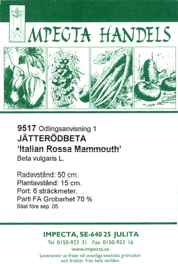 Rdbede, Italian Rossa Mammouth, Beta vulgaris </i>L. var.<i> vulgaris